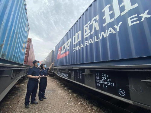 國際海關日 守護國門，全力以赴保障供應鏈穩定高效